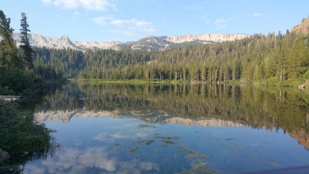 LOS MEJORES PARQUES NATURALES DE LA COSTA OESTE DE USA