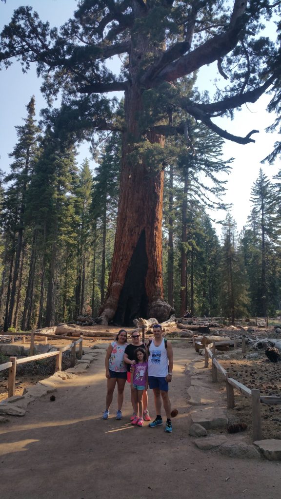 MARIPOSA GROVE NATIONAL PARK USA