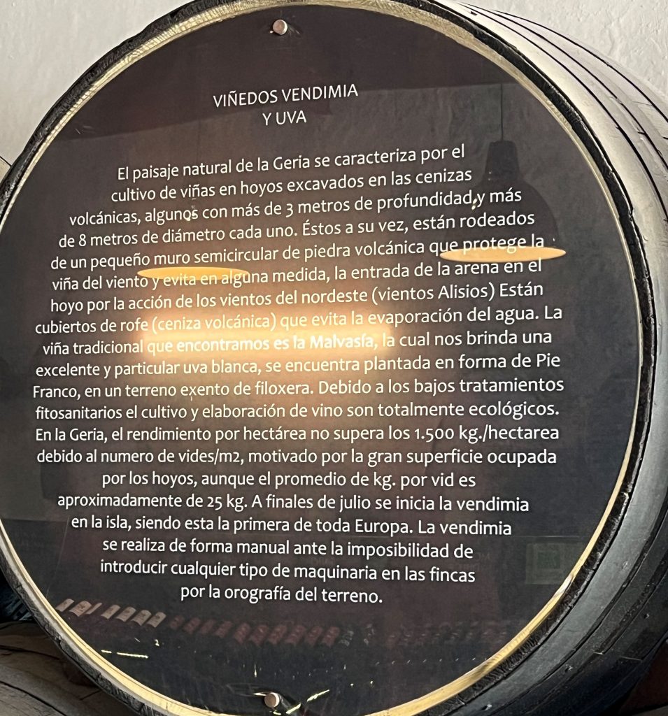 BODEGA LA GERIA