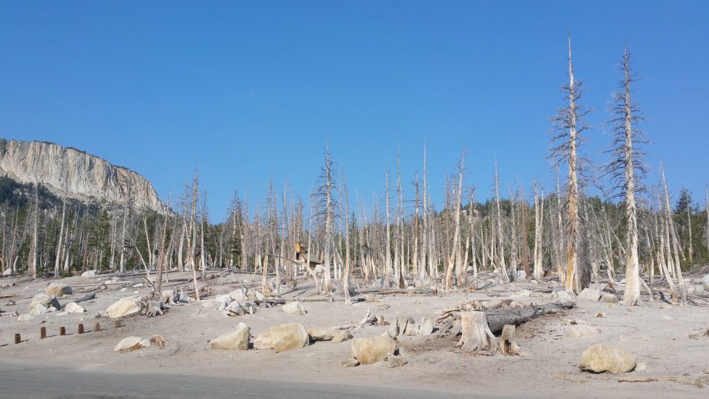MAMMOTH LAKES