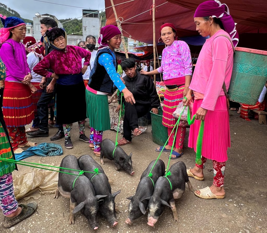 MERCADO DONG VAN NORTE DE VIETNAM EN MOTO