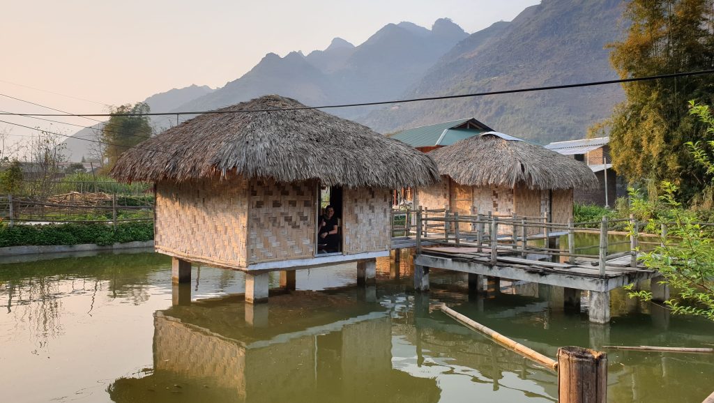 DU GIA HOMESTAY LOOP DE HA GIANG EN MOTO POR EL NORTE DE VIETNAM