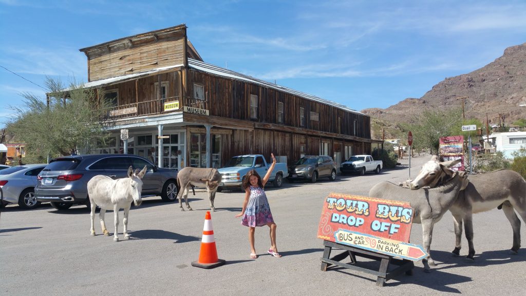 BURROS OATMAN USA