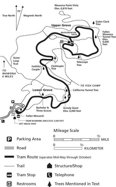 MAPA MARIPOSA GROVE NATIONAL PARK USA
