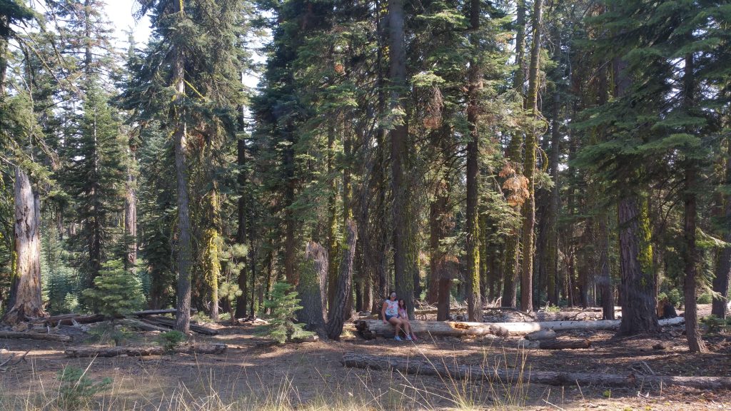 YOSEMITE NATIONAL PARK USA LOS MEJORES PARQUES NATURALES DE LA COSTA OESTE DE USA