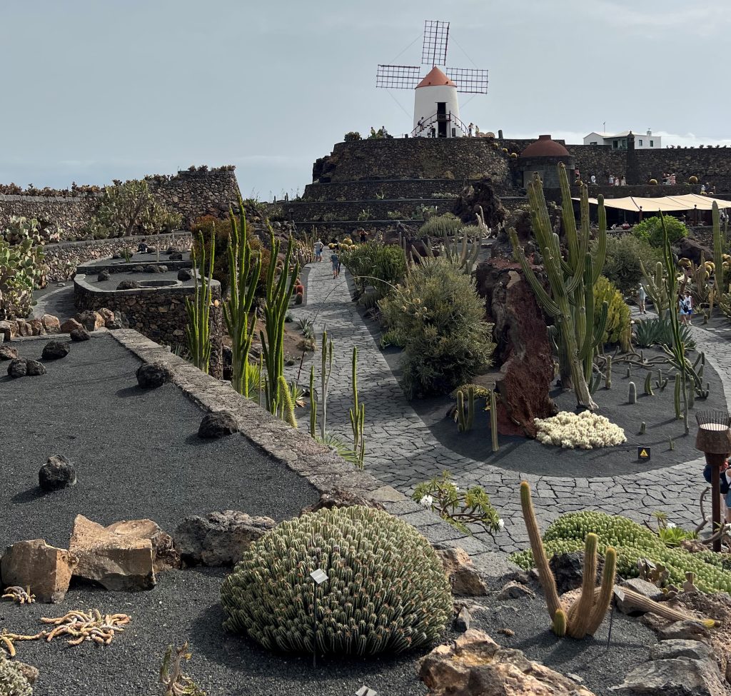 EL JARDIN DE LOS CACTUS