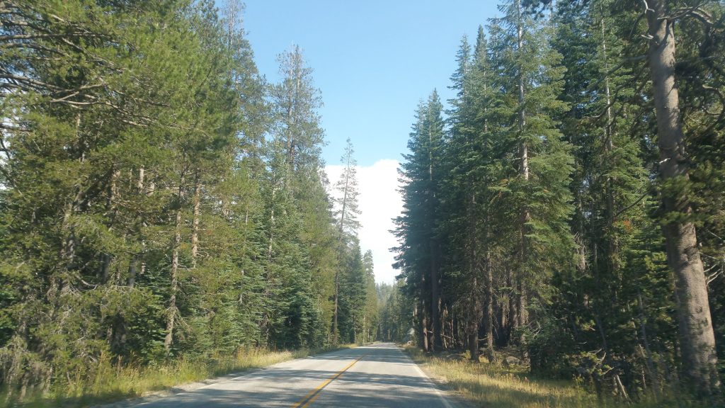 TIOGA PASS YOSEMITE NATIONAL PARK