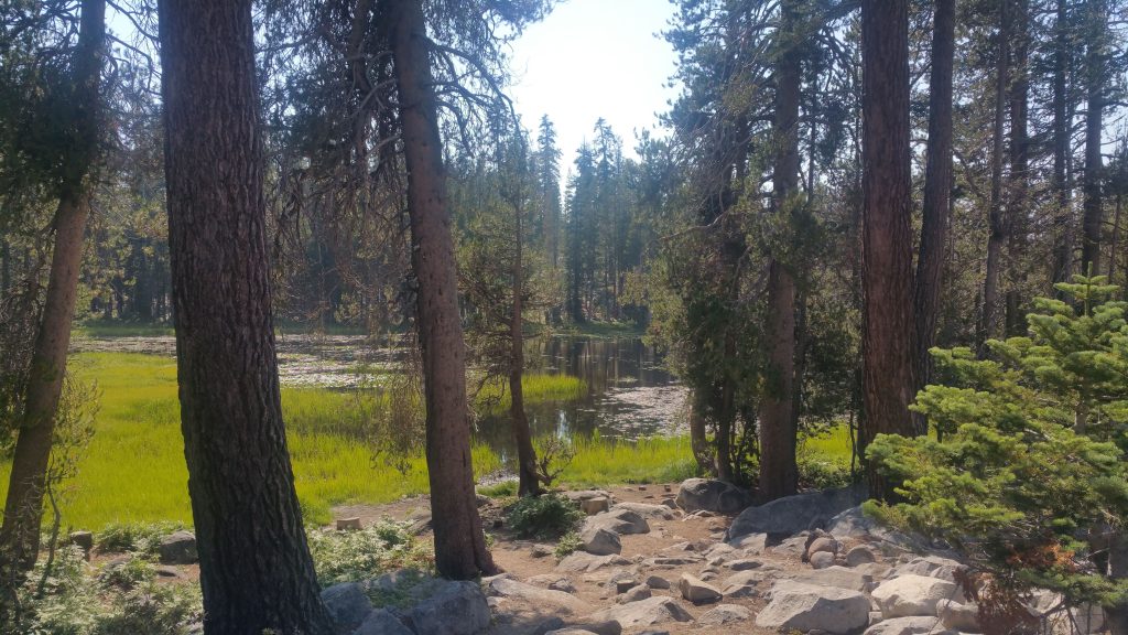 YOSEMITE NATIONAL PARK TIOGA PASS