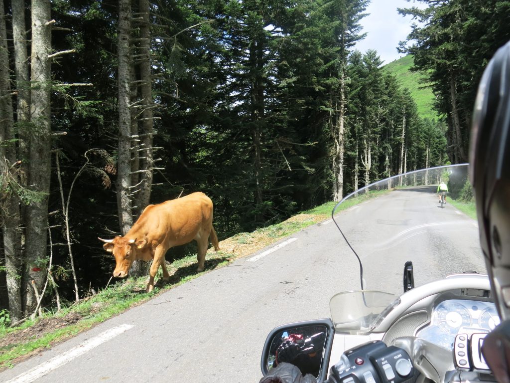 COL D AUSBIQUE RUTA EN MOTO POR PIRINEOS. TRANSPIRENAICA EN MOTO