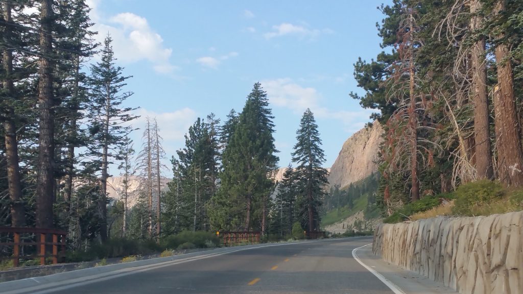 TIOGA PASS YOSEMITE NP