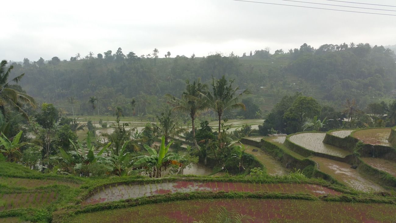 guia-de-viaje-por-bali-desde-mi-retina-arrozales-jatiluwik