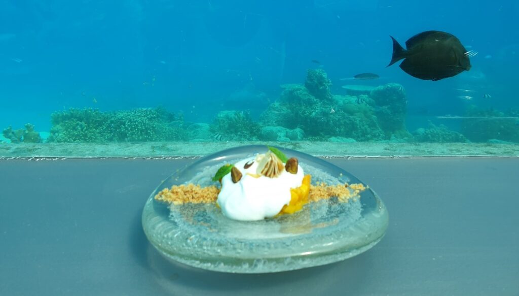 las-mejores-islas-de-maldivas-you-and-me-resort-underwater-restaurante