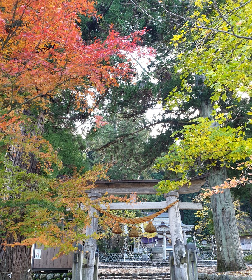 guia-de-viaje-por-japon-desde-mi-retina-templos-koyasan