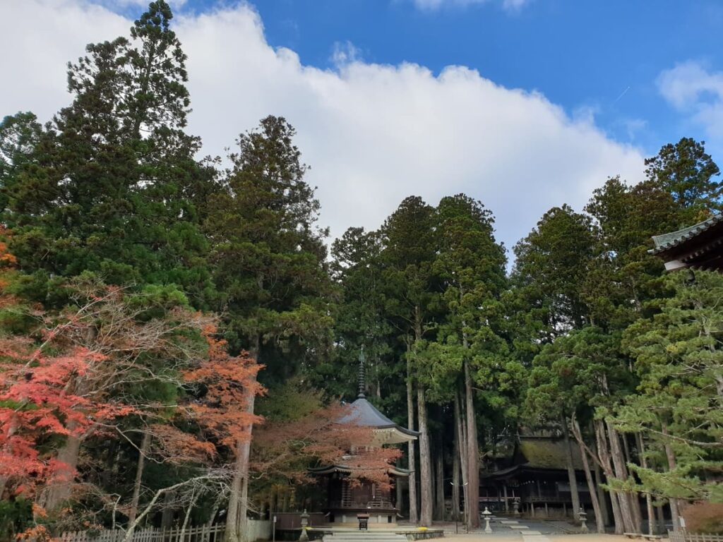 que-ver-y-hacer-en-koyasan-japon-desde-mi-retina-kogobuji-temple