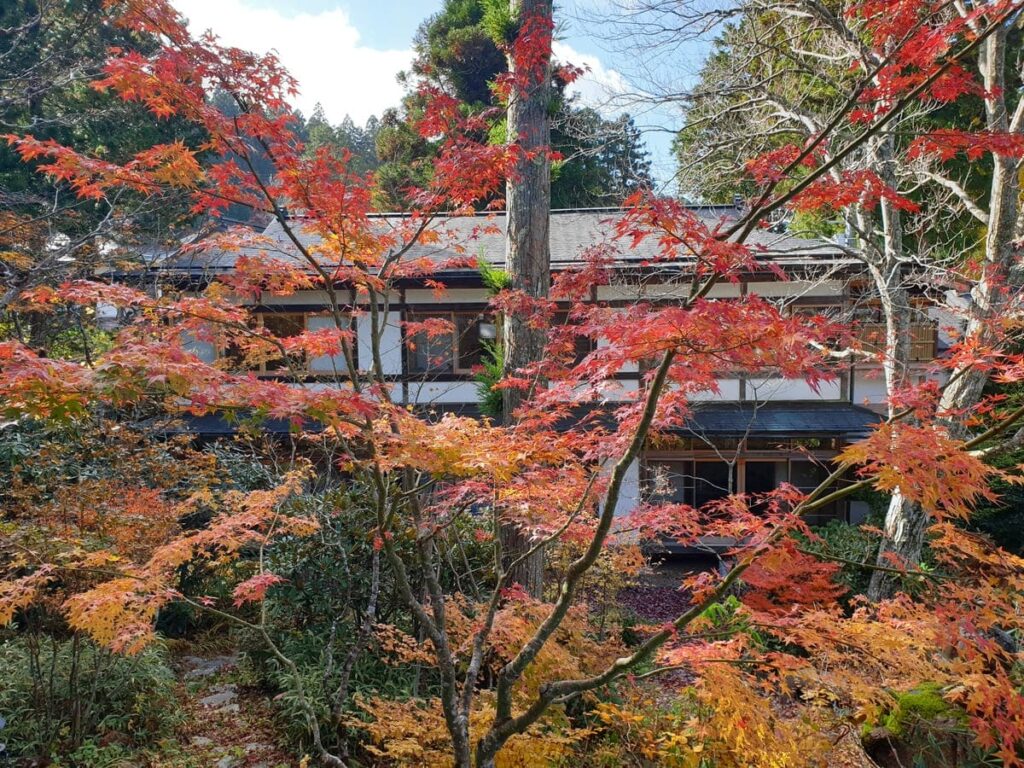 que-ver-y-hacer-en-koyasan-japon-desde-mi-retina-momiji-koyasan1